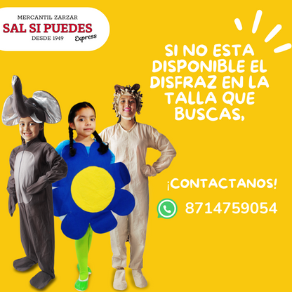 Disfraz Gallina / Disfraz de Primavera